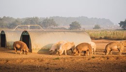 Overview of the CPTPP